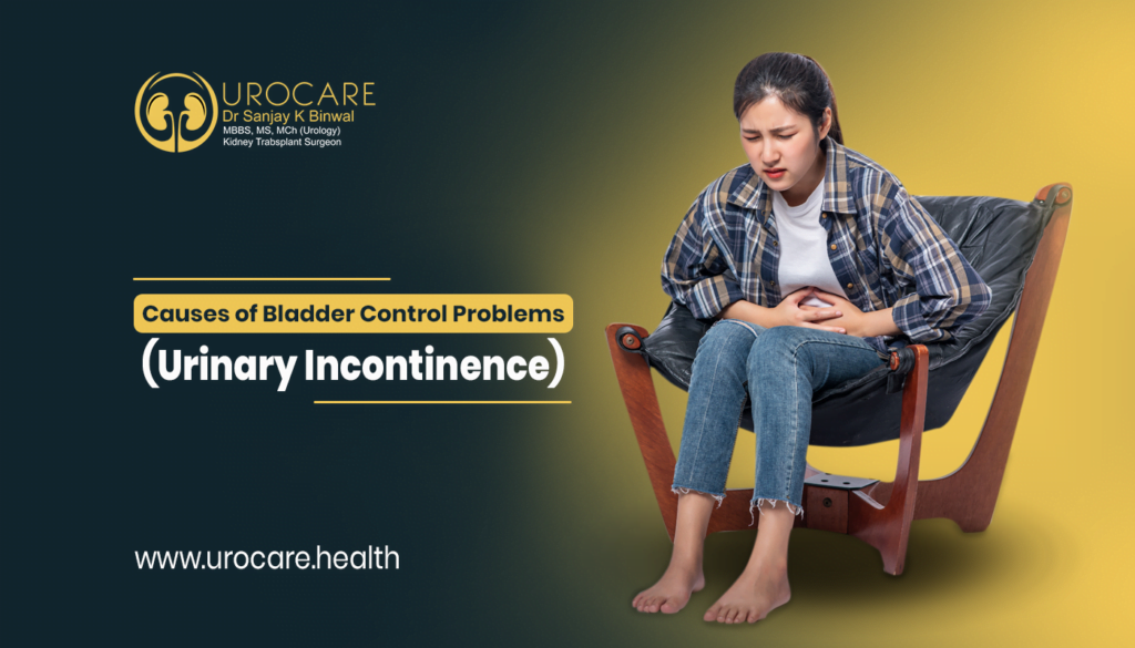 image 2023 06 15T10 16 41 034Z