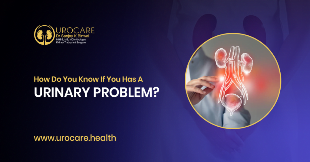 How Do You Know If You Has A Urinary Problem? 1 Urinary Problem