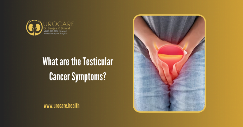 What are the Testicular Cancer Symptoms? 1 Testicular Cancer Symptoms