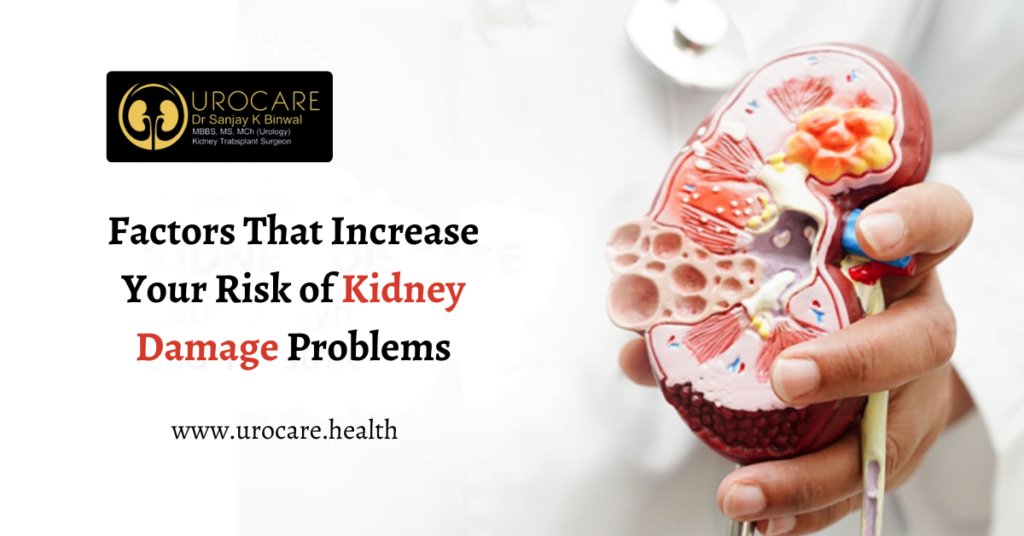 Factors That Increase Your Risk of Kidney Damage Problems