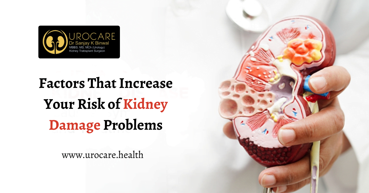 Factors That Increase Your Risk of Kidney Damage Problems