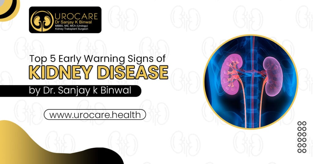 Top 5 Early Warning Signs of Kidney Disease 1 Top 5 Early Warning Signs of Kidney Disease