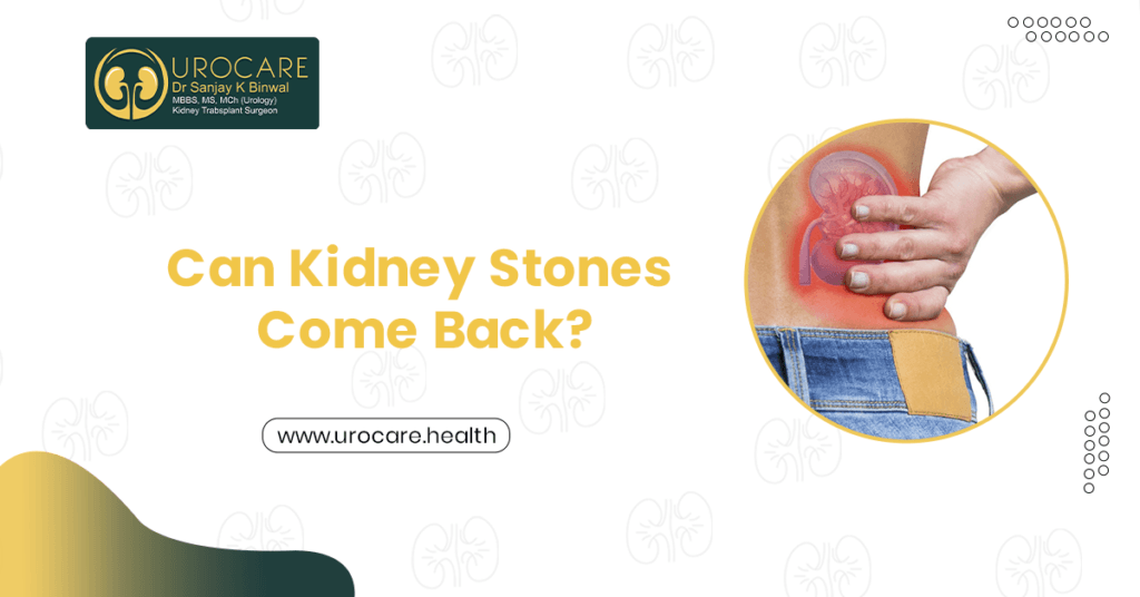 Can Kidney Stones Come Back